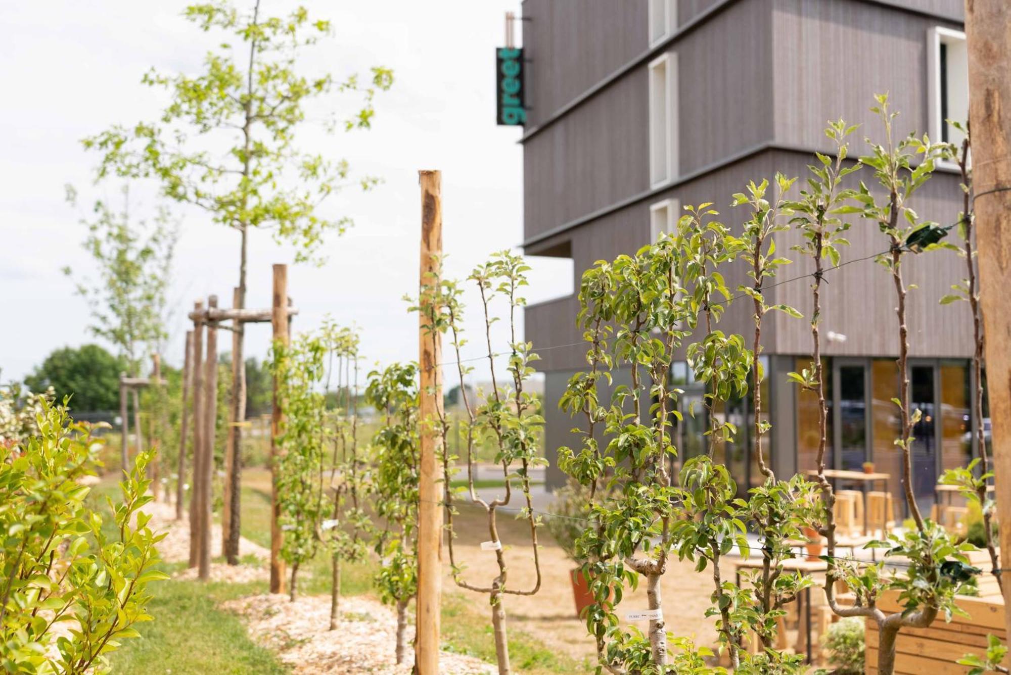 Greet Hotel Rennes Pace Ngoại thất bức ảnh